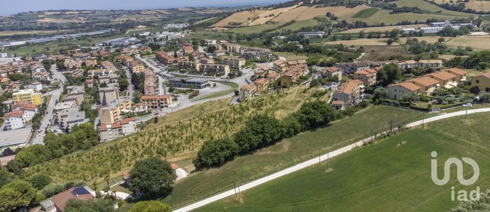 Varie superfici di 4.891 m² in Osimo (60027)