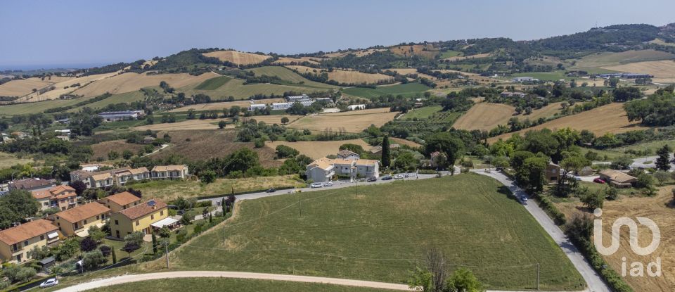 Varie superfici di 4.891 m² in Osimo (60027)