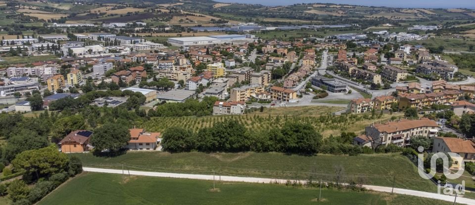 Varie superfici di 4.891 m² in Osimo (60027)