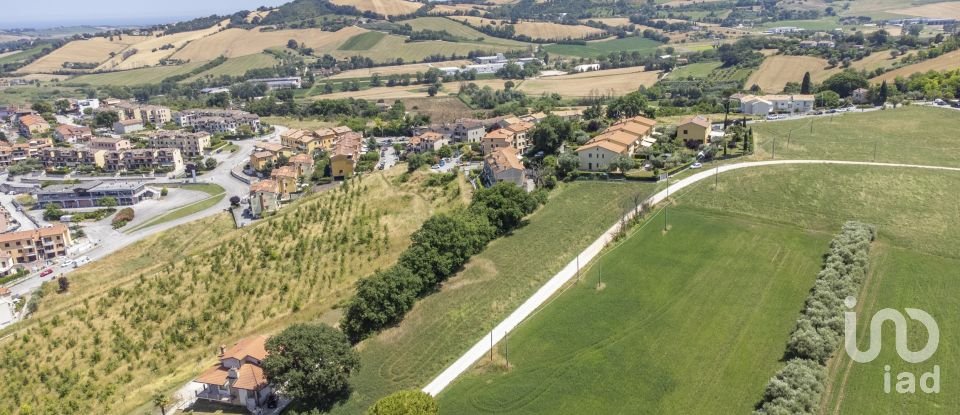 Varie superfici di 4.891 m² in Osimo (60027)
