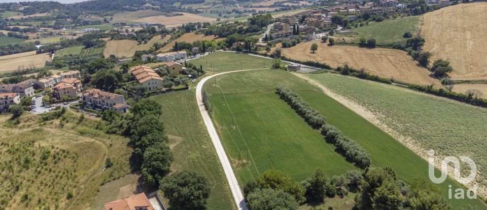 Varie superfici di 4.891 m² in Osimo (60027)