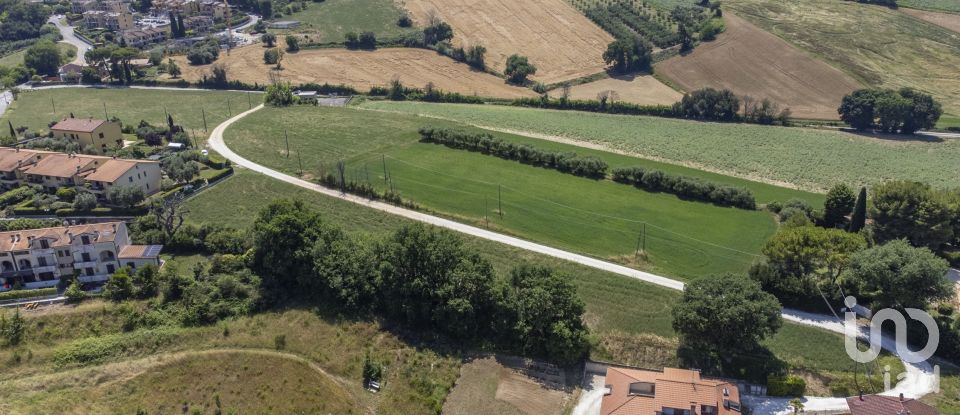 Varie superfici di 4.891 m² in Osimo (60027)