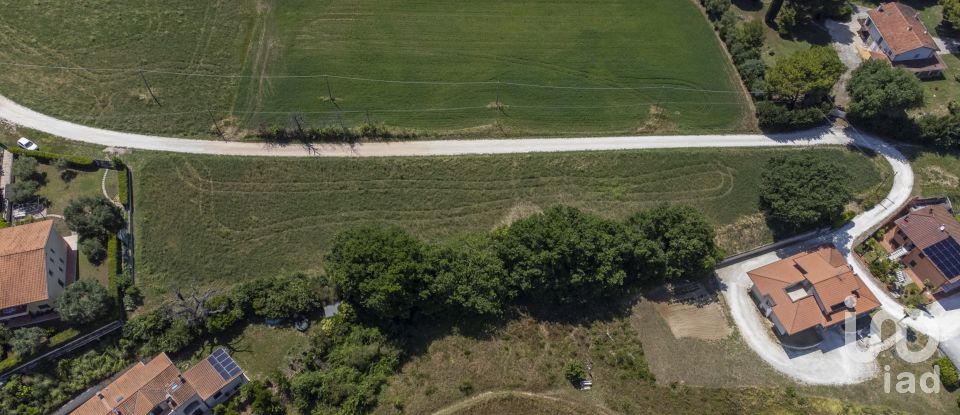 Varie superfici di 4.891 m² in Osimo (60027)