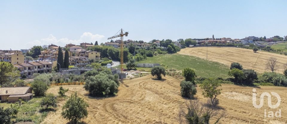 Varie superfici di 4.891 m² in Osimo (60027)
