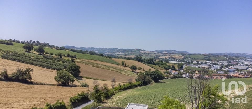 Varie superfici di 4.891 m² in Osimo (60027)