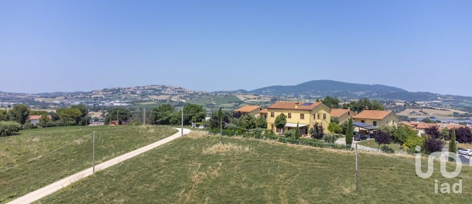 Varie superfici di 4.891 m² in Osimo (60027)