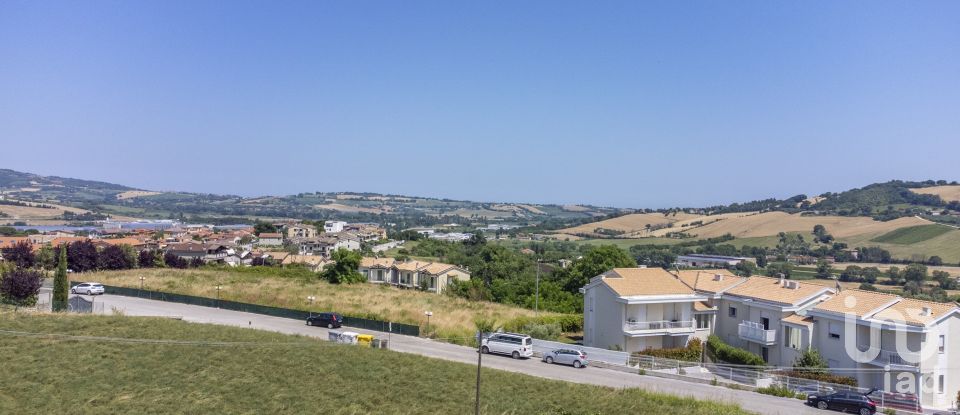 Varie superfici di 4.891 m² in Osimo (60027)