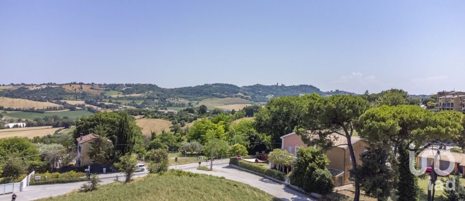 Varie superfici di 4.891 m² in Osimo (60027)