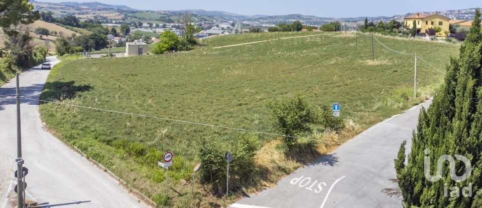 Varie superfici di 4.891 m² in Osimo (60027)