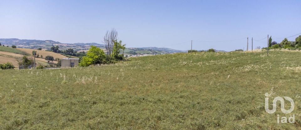 Varie superfici di 4.891 m² in Osimo (60027)