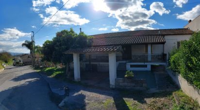 Villa a schiera 7 locali di 254 m² in Omignano (84060)