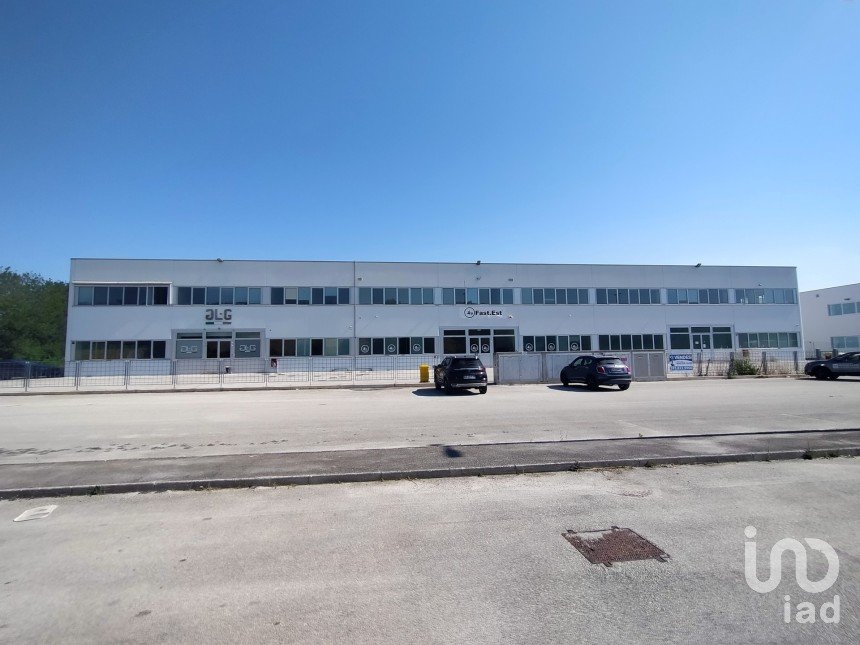 Warehouse of 3,500 m² in Osimo (60027)