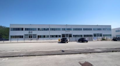 Capannone di 3.500 m² in Osimo (60027)