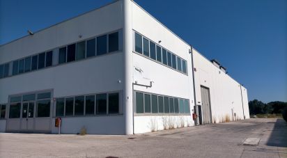 Capannone di 3.500 m² in Osimo (60027)