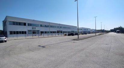 Capannone di 3.500 m² in Osimo (60027)