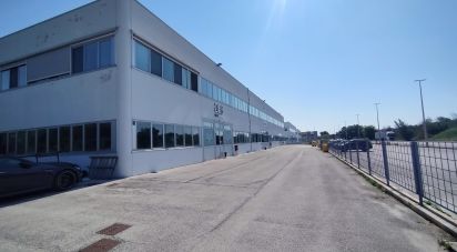 Capannone di 3.500 m² in Osimo (60027)