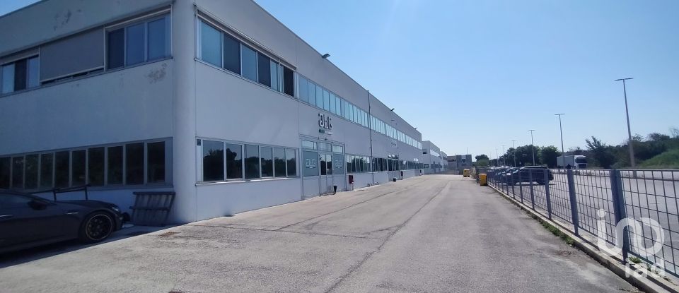 Warehouse of 3,500 m² in Osimo (60027)