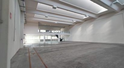 Capannone di 3.500 m² in Osimo (60027)