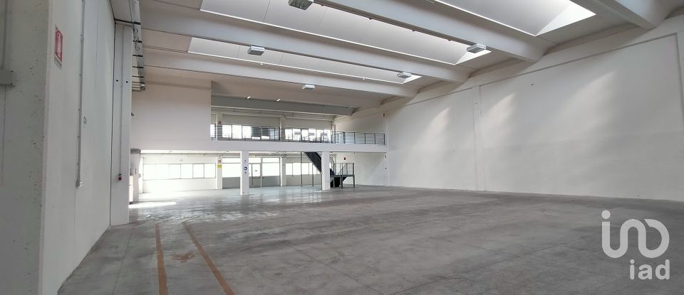Warehouse of 3,500 m² in Osimo (60027)