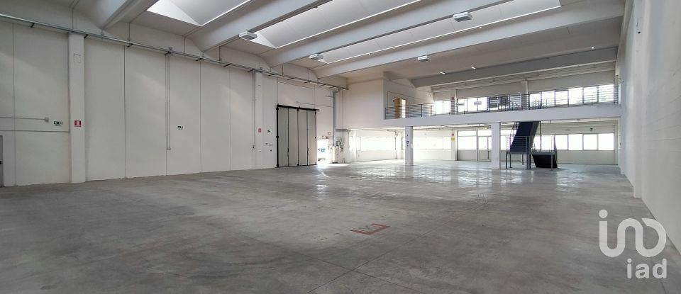 Warehouse of 3,500 m² in Osimo (60027)