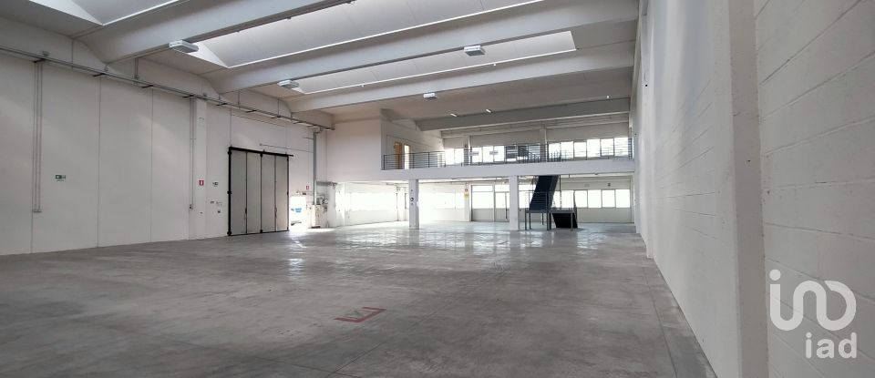 Warehouse of 3,500 m² in Osimo (60027)