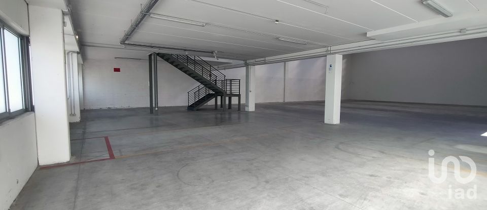 Warehouse of 3,500 m² in Osimo (60027)