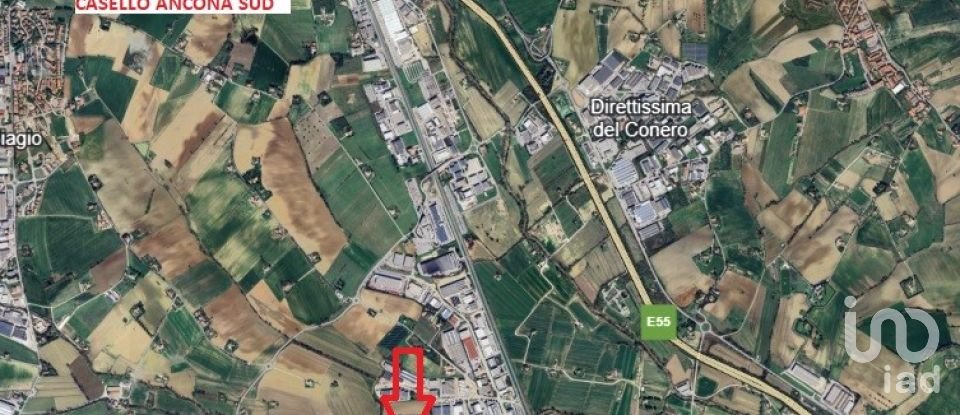 Warehouse of 3,500 m² in Osimo (60027)