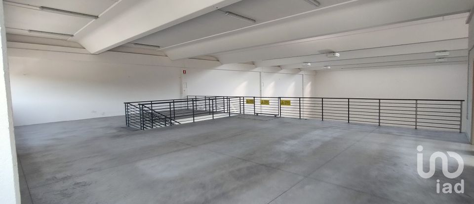 Warehouse of 3,500 m² in Osimo (60027)