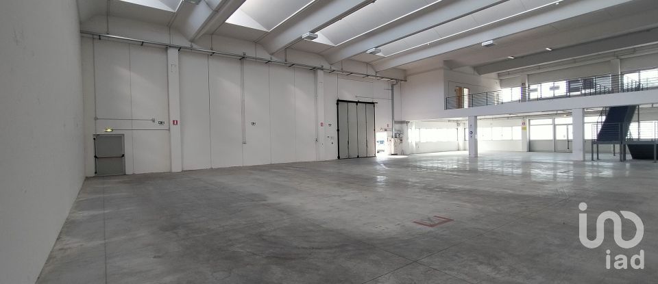 Warehouse of 3,500 m² in Osimo (60027)