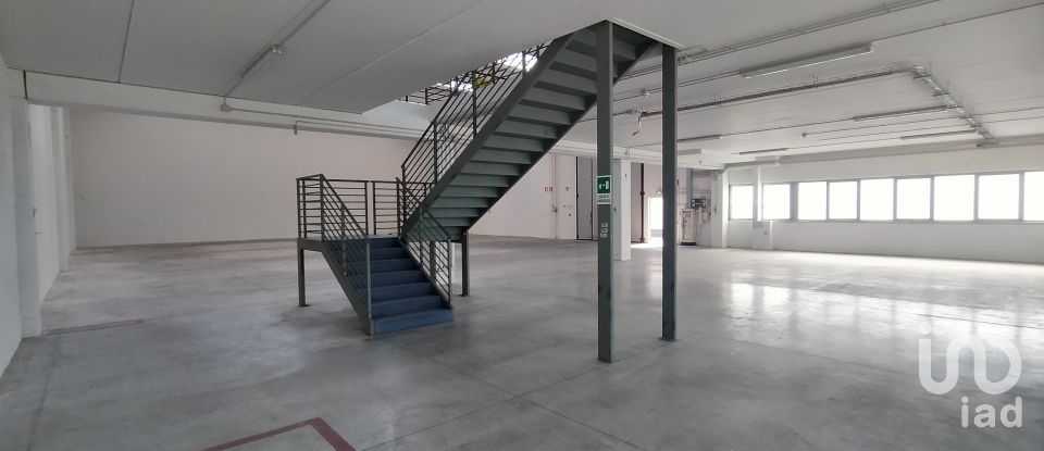 Warehouse of 3,500 m² in Osimo (60027)