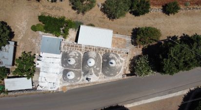 Horses property 6 rooms of 147 m² in Martina Franca (74015)