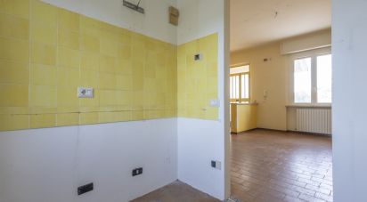 Casa indipendente 7 locali di 154 m² in Offagna (60020)