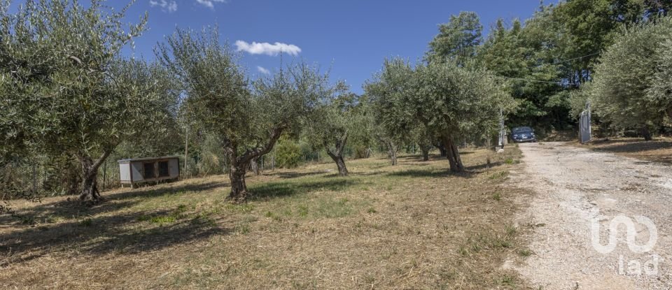 Townhouse 7 rooms of 154 m² in Offagna (60020)