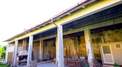 Rustico 1 locale di 320 m² in Volta Mantovana (46049)