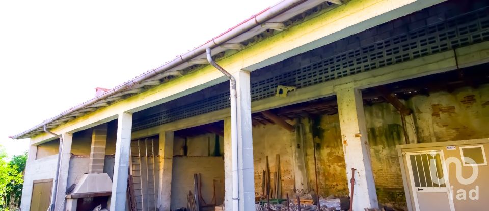 Rustico 1 locale di 320 m² in Volta Mantovana (46049)