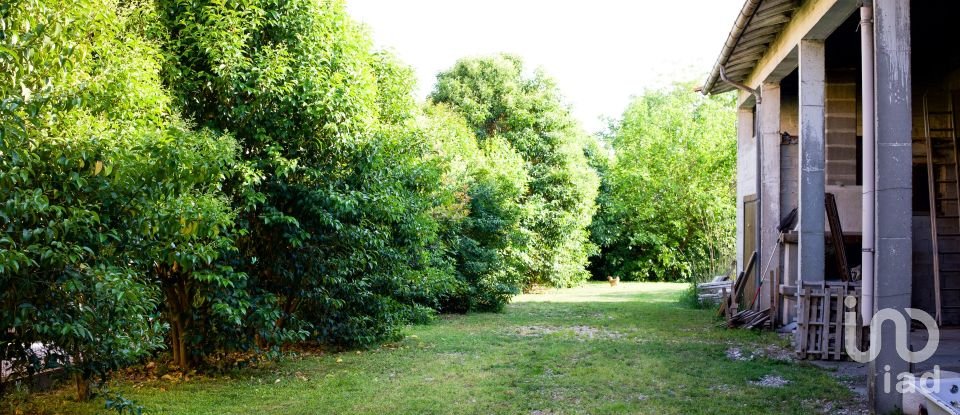 Rustico 1 locale di 320 m² in Volta Mantovana (46049)