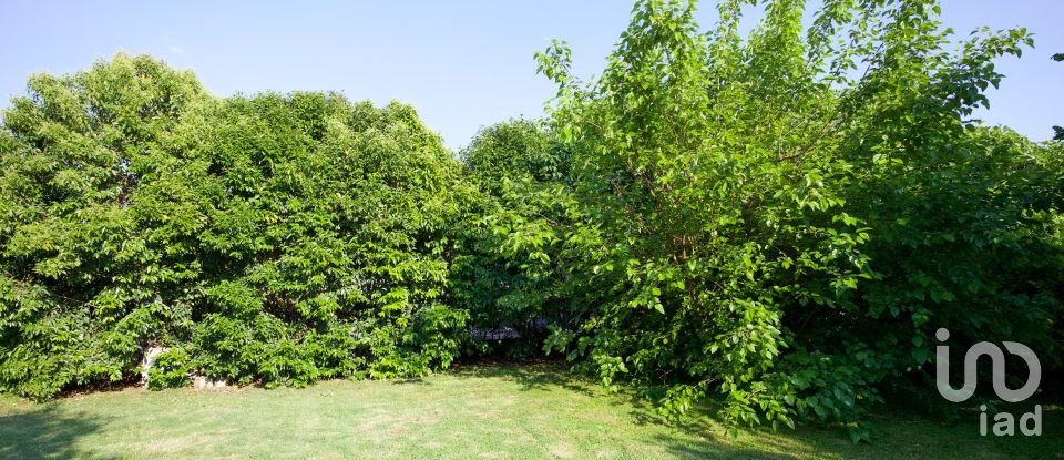 Rustico 1 locale di 320 m² in Volta Mantovana (46049)