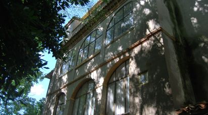 Villa storica 20 locali di 1.560 m² in Urbino (61029)