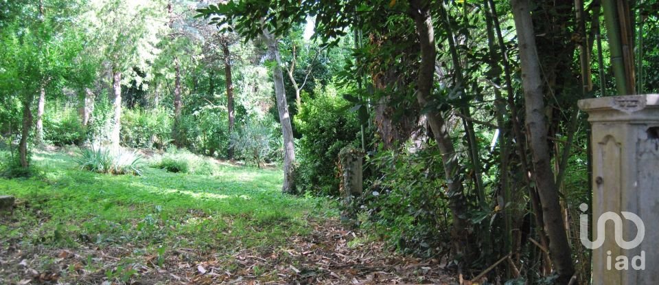 Villa storica 20 locali di 1.560 m² in Urbino (61029)