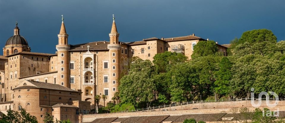 Villa storica 20 locali di 1.560 m² in Urbino (61029)