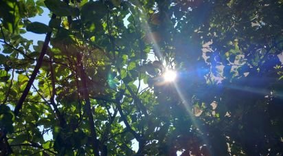 Quadrilocale di 110 m² a Albisola Superiore (17011)