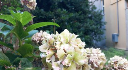 Quadrilocale di 110 m² a Albisola Superiore (17011)