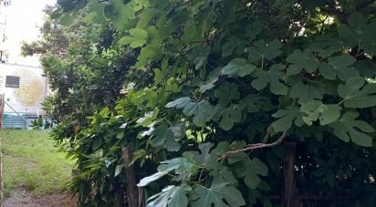 Quadrilocale di 110 m² a Albisola Superiore (17011)