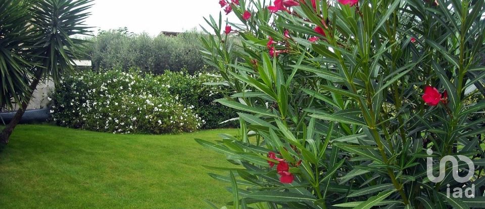 Hotel-ristorante di 700 m² in Mozzagrogna (66030)