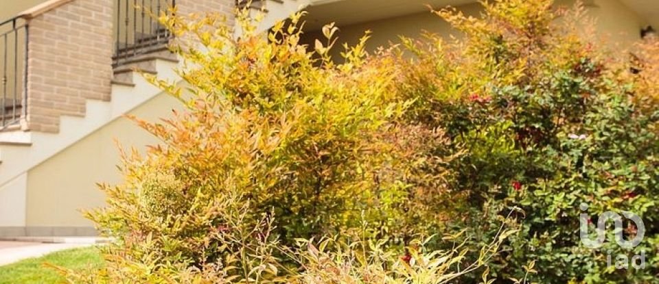 Hotel-ristorante di 700 m² in Mozzagrogna (66030)