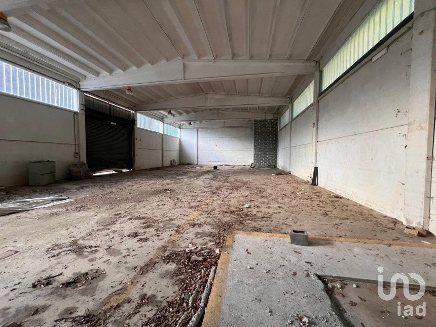 Negozio / locale commerciale di 4.000 m² in Genova (16133)