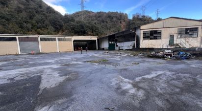 Negozio / locale commerciale di 4.000 m² in Genova (16133)