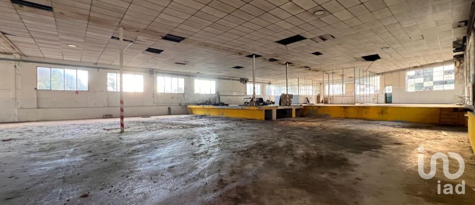 Negozio / locale commerciale di 4.000 m² in Genova (16133)