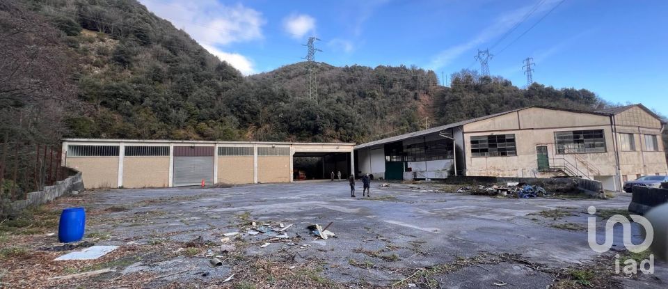 Negozio / locale commerciale di 4.000 m² in Genova (16133)