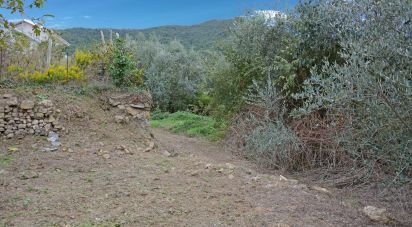 Terreno di 810 m² in Villanova d'Albenga (17038)
